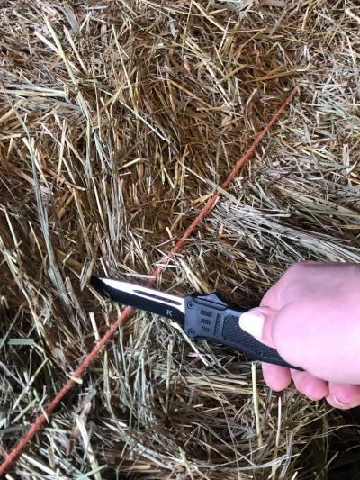 Image #1 from Cindy C.